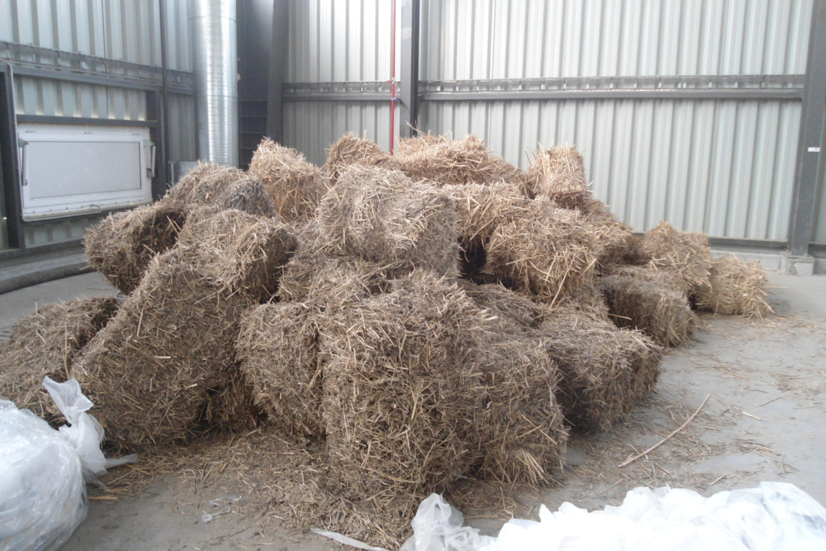 Biomass bales from miscanthus crop