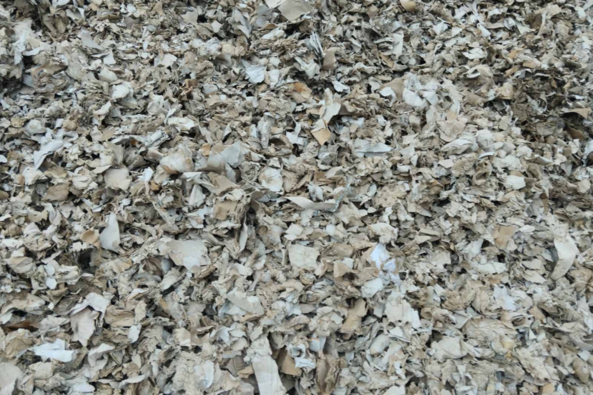 Paper shredded fraction 100 mm