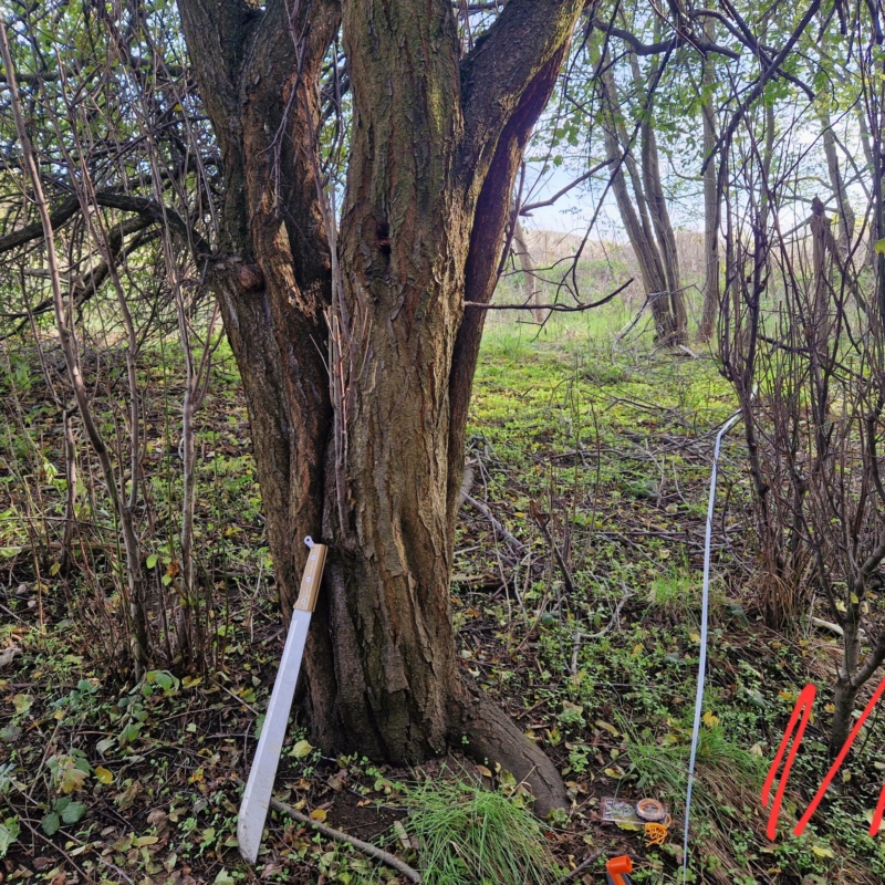 Measurement point 1 - quadrant 1