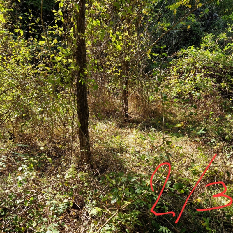 Measurement point 2 - quadrant 3