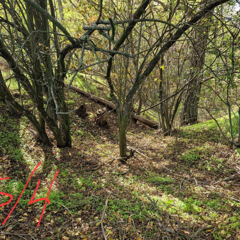 Measurement point 5 - quadrant 4