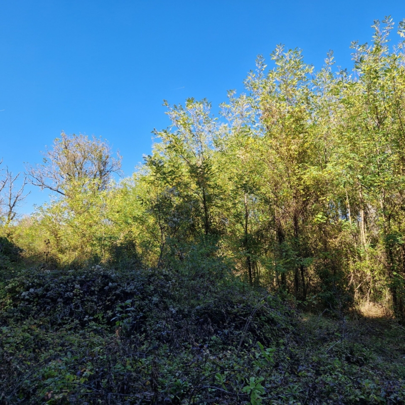 North-West view of Plot 2