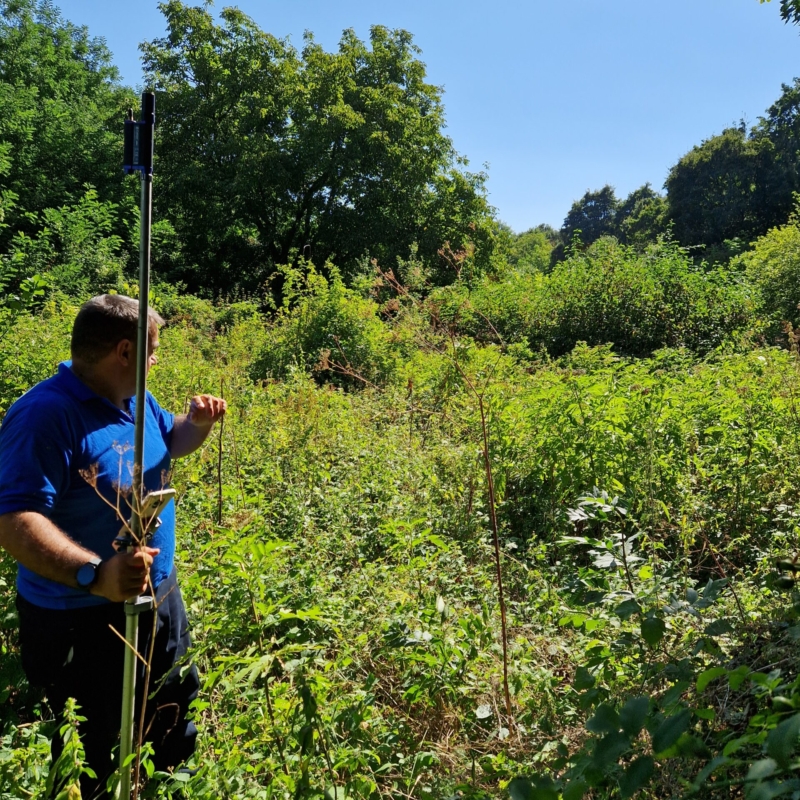 Pointing and marking the plots