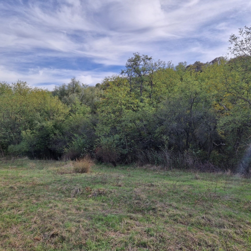 South-East view of Plot 1